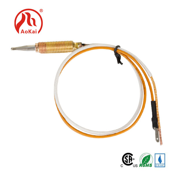 محفوظ باورچی خانه Thermocouple