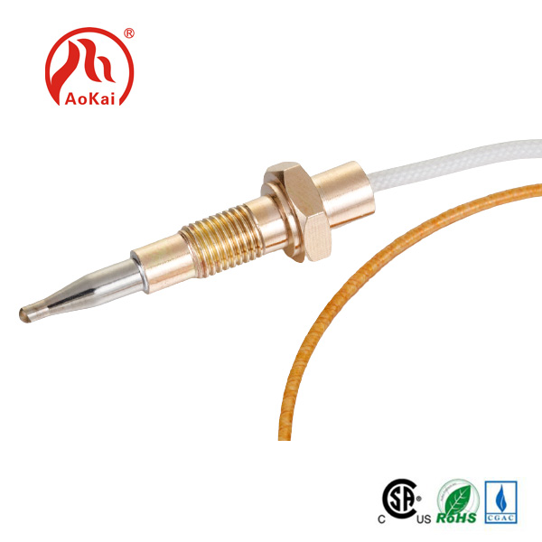 اسپيئر پارٽس اسٽو Thermocouple